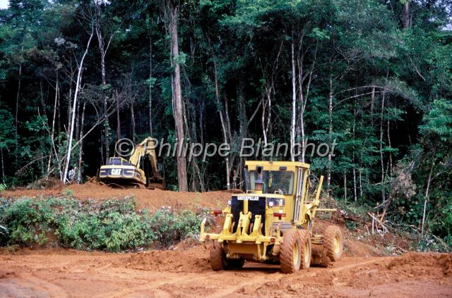 guyane 20.jpg - Caterpillars, contruction de la route Cayenne Saint-Georges-de-l'OyapokGuyane franÁaise